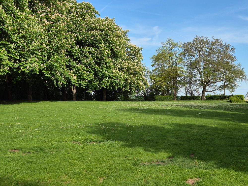 Circular economy concepts - Sustainable Material Management at ALLOD