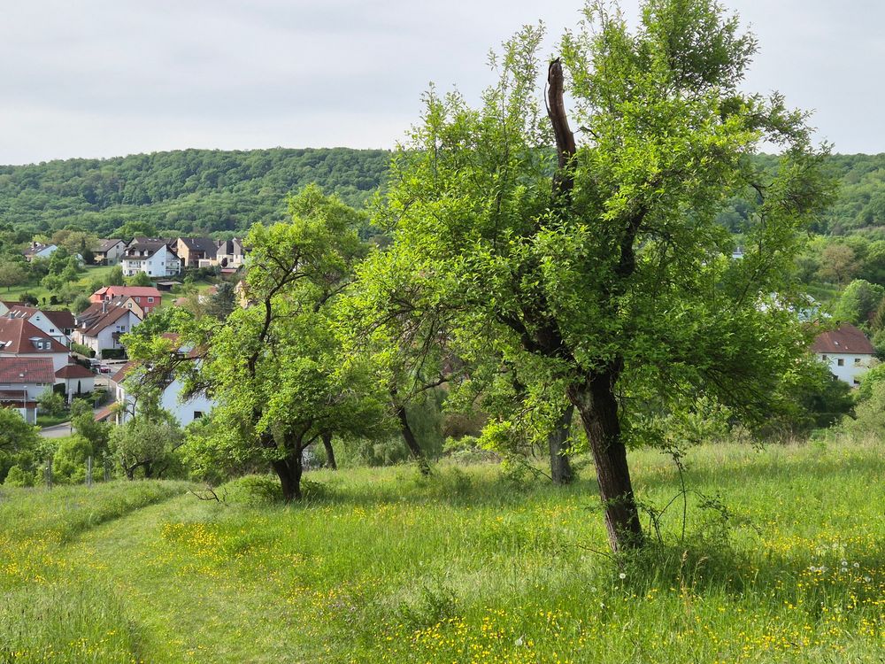 Energy management - Sustainable Material Management at ALLOD