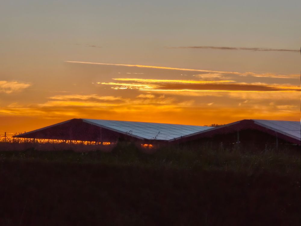 Sustainability through innovation - Nachhaltigkeit für kommende Generationen